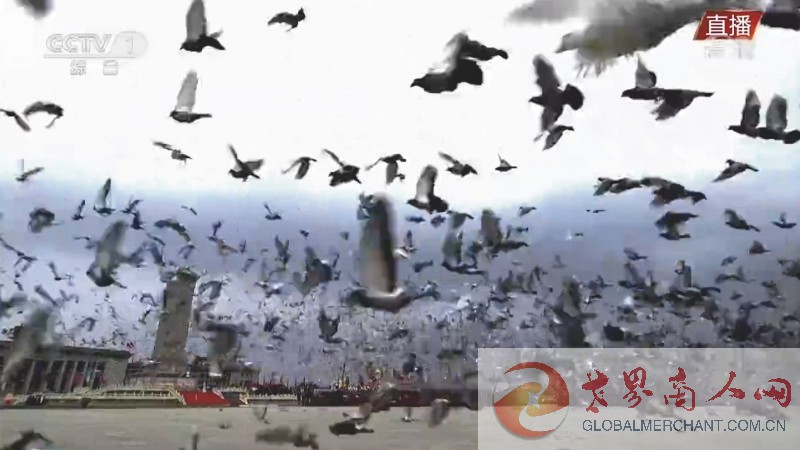 QQ图片20210701093333.jpg